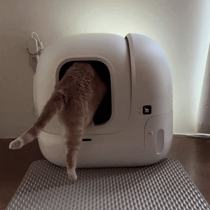 Automatic Litter Box with Odor Control for Multiple Cats - Litter Robot - WhiskerVault