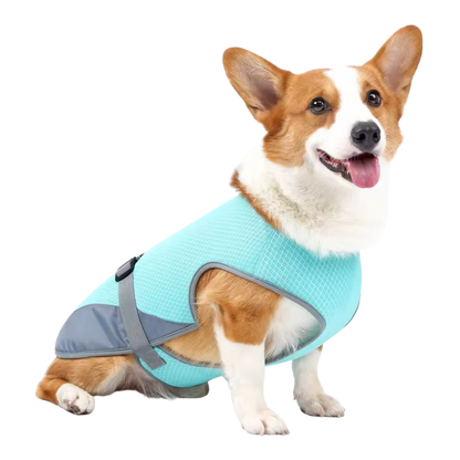 FrostVest - Dog cooling vest