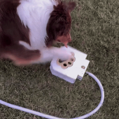 PawSplash ™ - Honden waterfontein