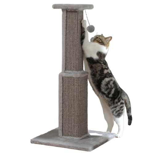 Grote Kattenkrabpaal | Krasvriendelijk Ontwerp