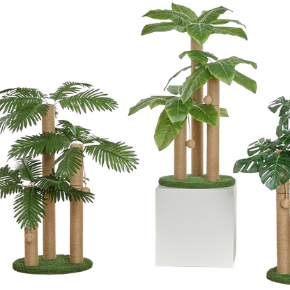 Kattenboom Modern En Schattig | Krasvriendelijk