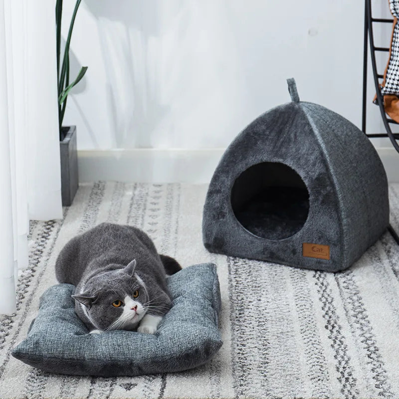 Katten Grot Huis | Binnen