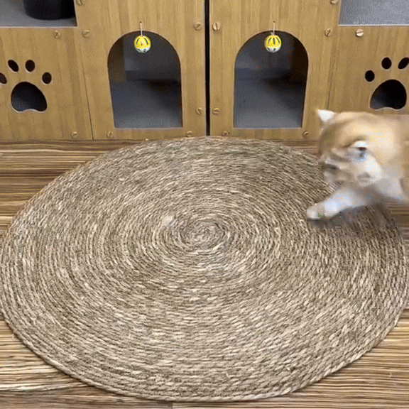 ScratchEase ™ – Cat scratching mat