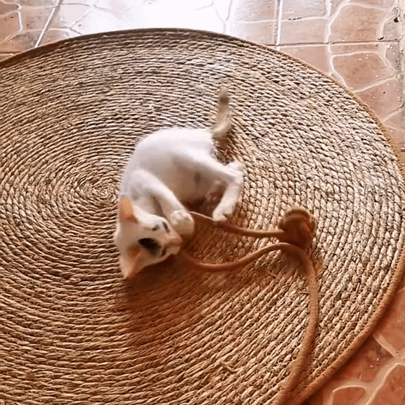 ScratchEase ™ – Cat scratching mat