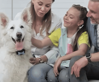 PawQuiet ™ – Dog Bark Collar