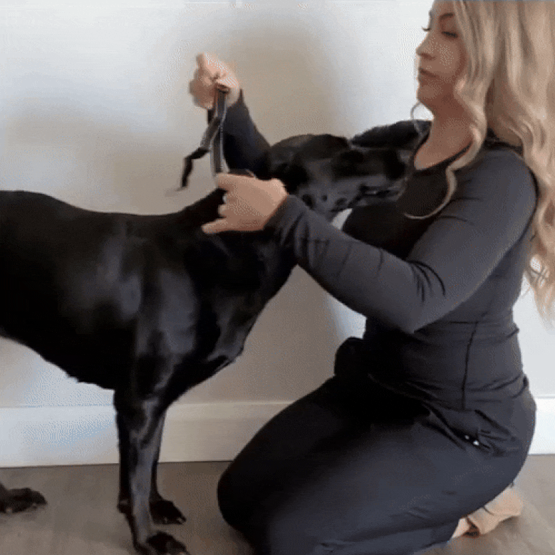 PawQuiet ™ – Dog Bark Collar