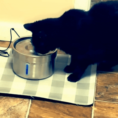 Stainless Steel Cat Water Fountain with Filter - Quiet 3.2L Drinking Bowl for Hydrated Cats 