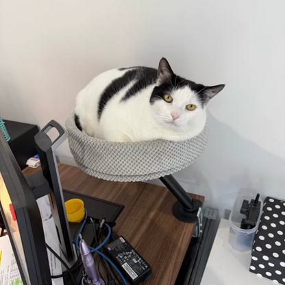 Cat Desk Bed | Sleeping 
