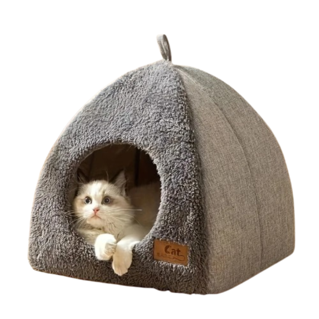 Katten Grot Huis | Binnen