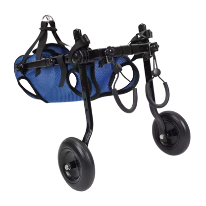 Adjustable Dog Wheelchair for Injured or Disabled Dogs – Lightweight & Vet-Approved
