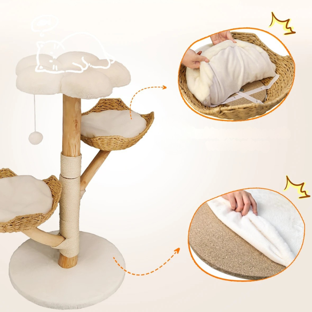 Katten Stevige Boom | Modern