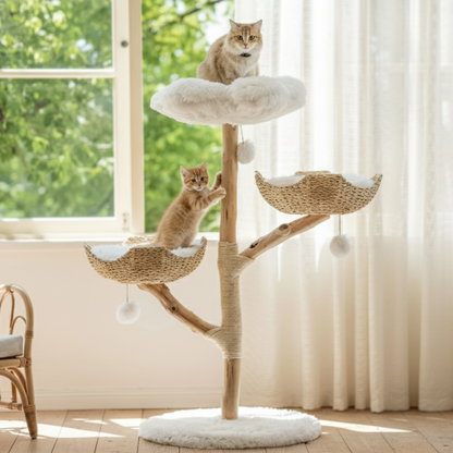 Katten Stevige Boom | Modern