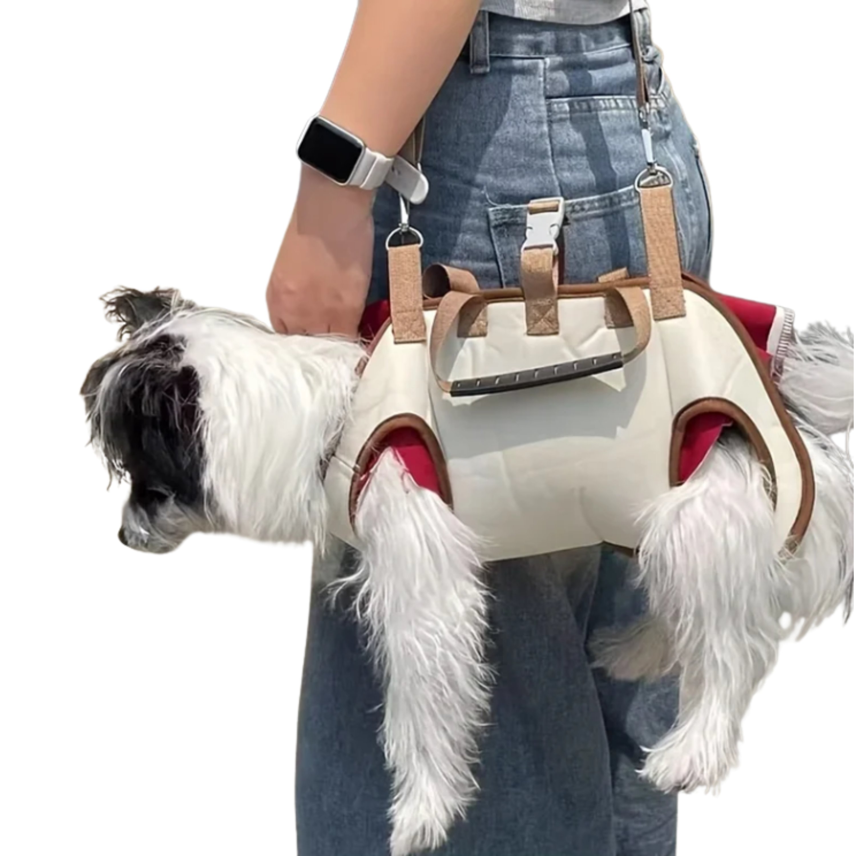 Breathable Carrier Bag for Small Dogs and Medium-sized Cats | Adjustable