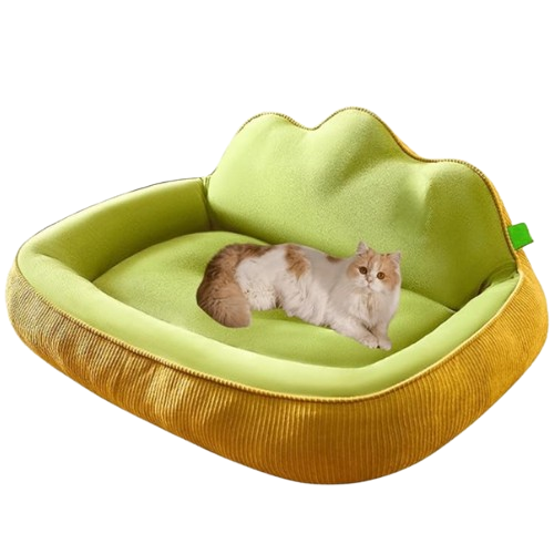 Orthopedic Dog Bed | Washable for Large Dogs