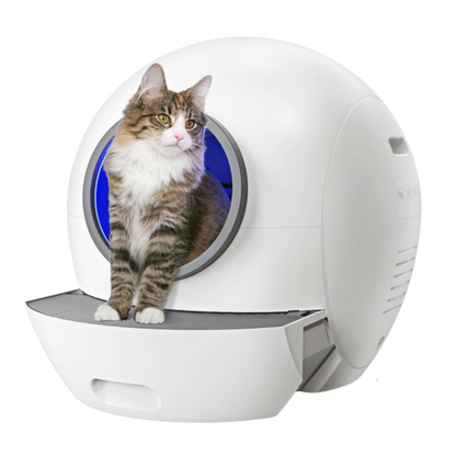 Kat Zelfreinigende Kattenbak | UV Sterilisatie Robot