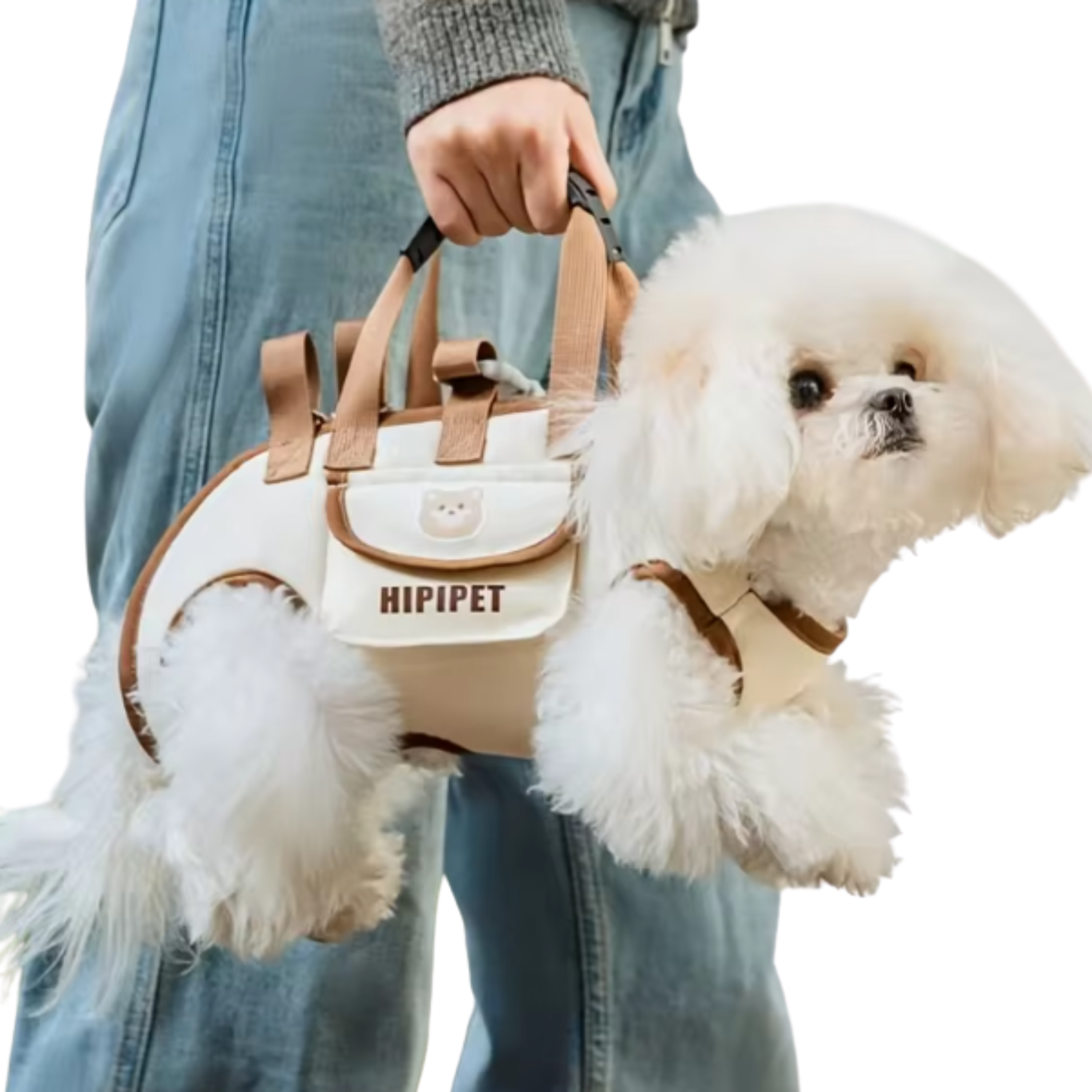 Breathable Carrier Bag for Small Dogs and Medium-sized Cats | Adjustable
