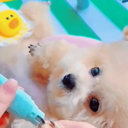 Dog Nail Grinder, Silent Rechargeable With Led Light For Pets - PawEase