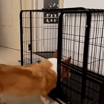 Hondenbench Voor Grote Honden Ontsnappingsproof Hondenbench, Stalen Kooi