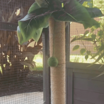 Cat Tree Scratching Post Made of Coconut Rope Durable Compact Cat Tree - PawHaven