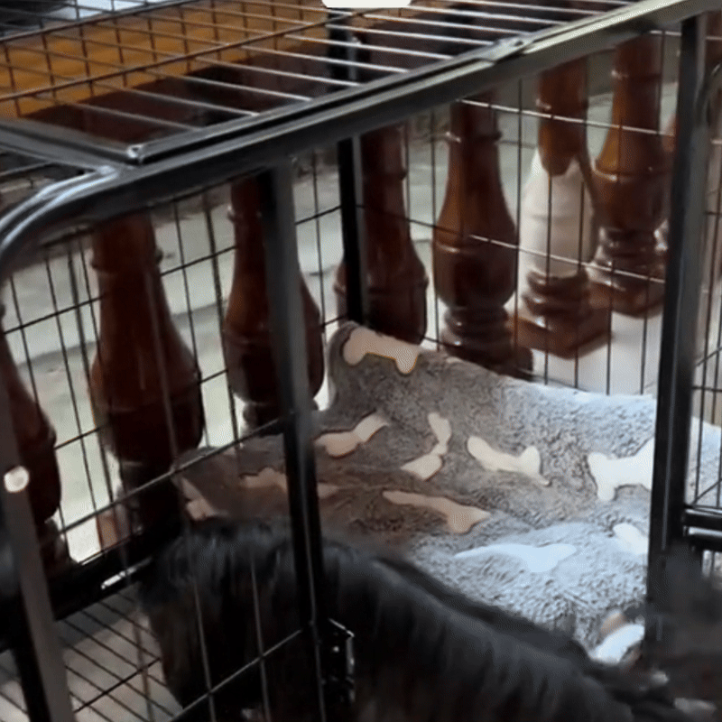 Hondenbench Voor Grote Honden Ontsnappingsproof Hondenbench, Stalen Kooi