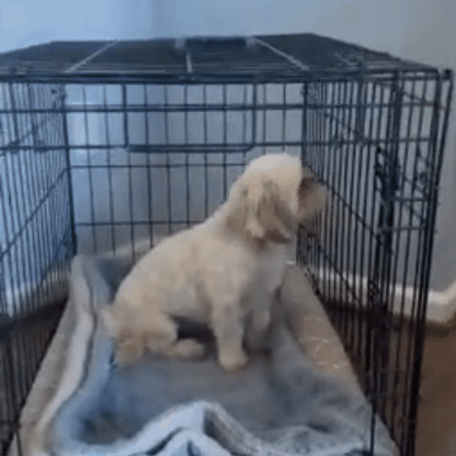 BenchMate - Metal dog crate