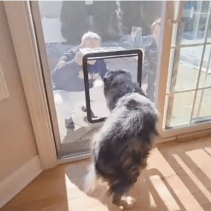 Dog Door Self-Closing Magnetic Dog Door for Doors No Tools Needed – PawPass