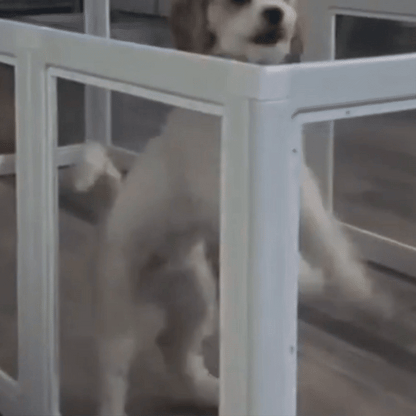 SafeDen - Dog pen