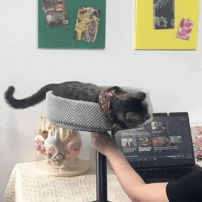 Cat Desk Bed | Sleeping 