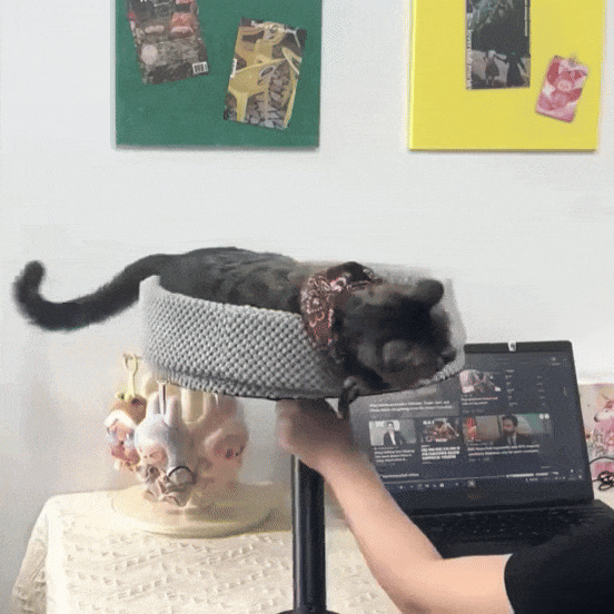 Cat Desk Bed | Sleeping 