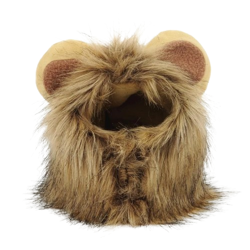 LionPaws™ - Cat Costume