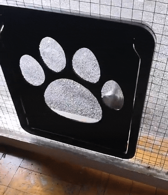 Magnetisch Kattenluik voor Schuifhorren Zelfsluitend Luik met Insectenstop