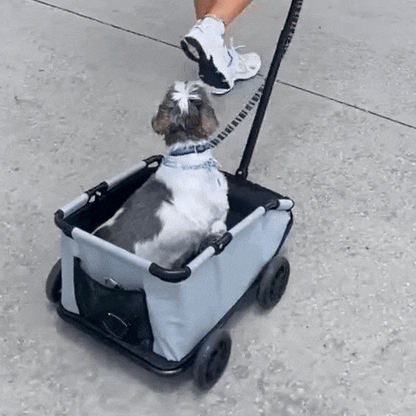 PawCruze - Mini Pet Stroller 