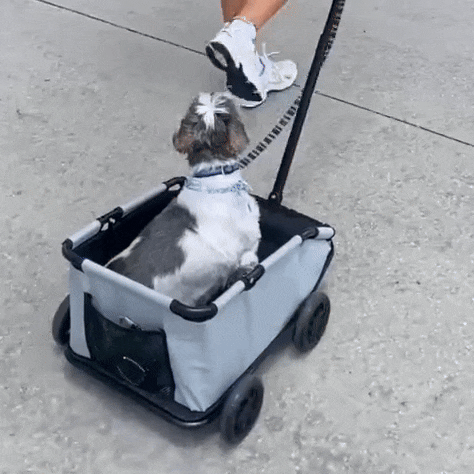 PawCruze - Mini Pet Stroller 
